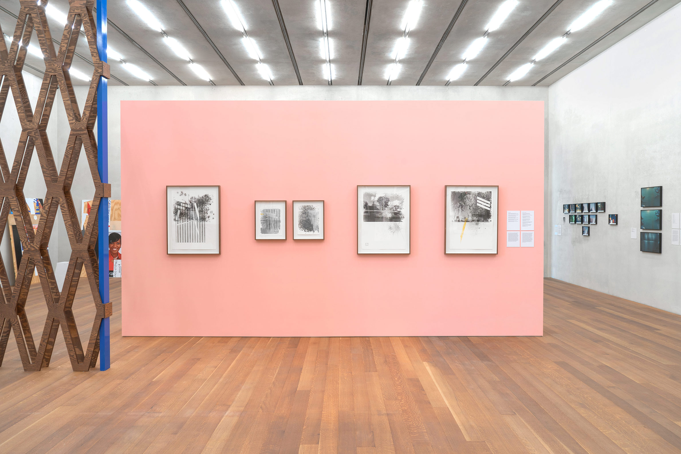 Adler Guerrier at Perez Art Museum Miami