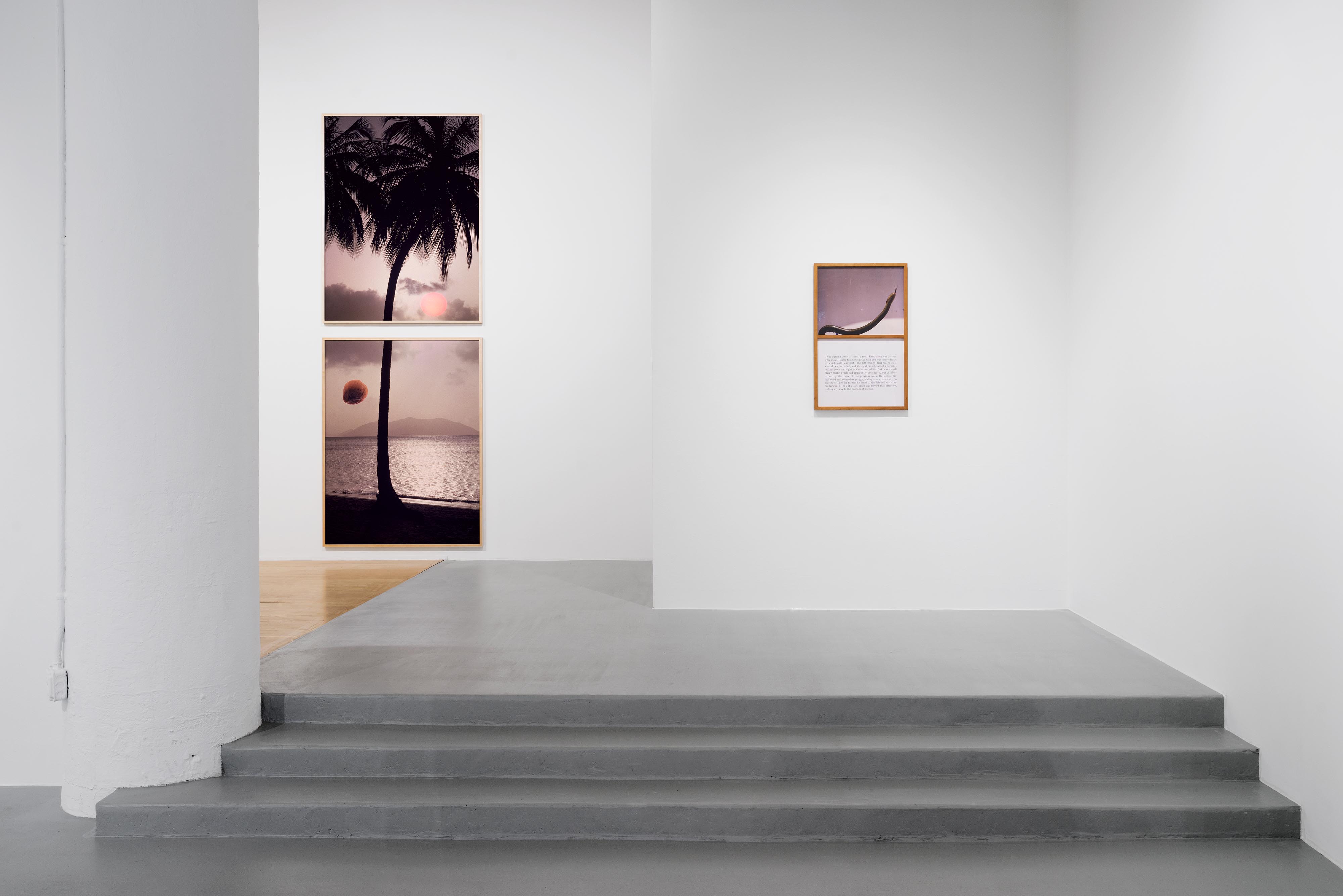 Bill Beckley: Elements of Romance at Rosenwald-Wolf Gallery, March 2018