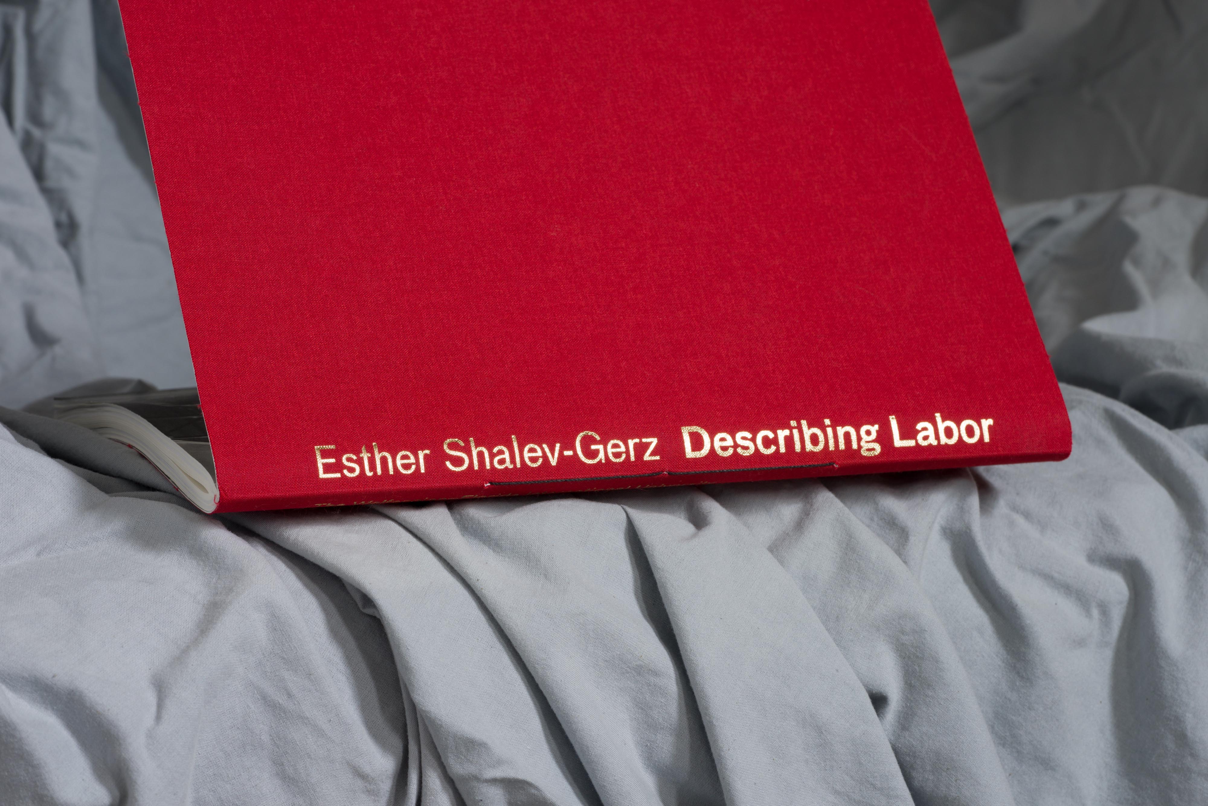 Esther Shalev Gerz Wolfsonian