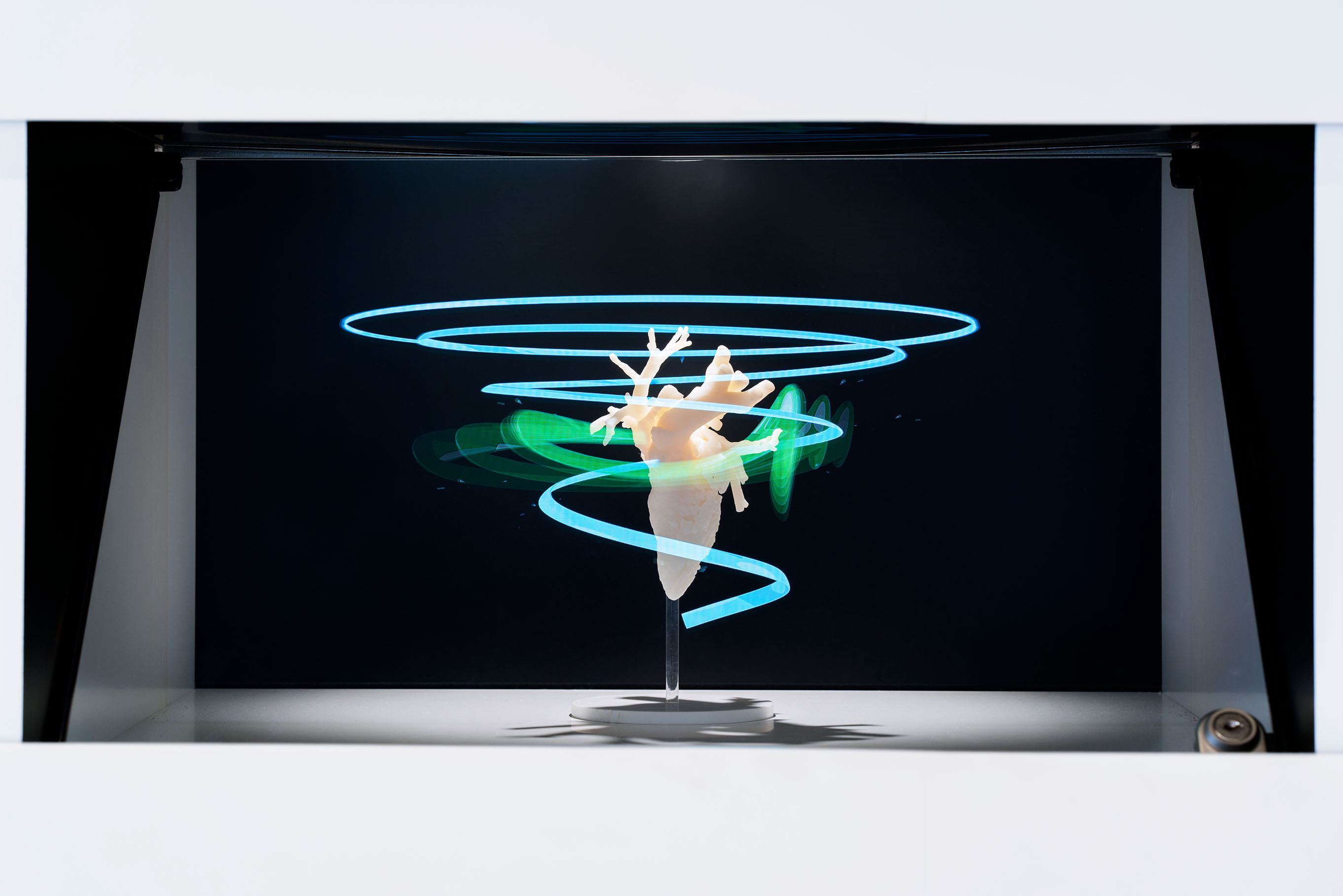 Formation 3D Animation Display Detail