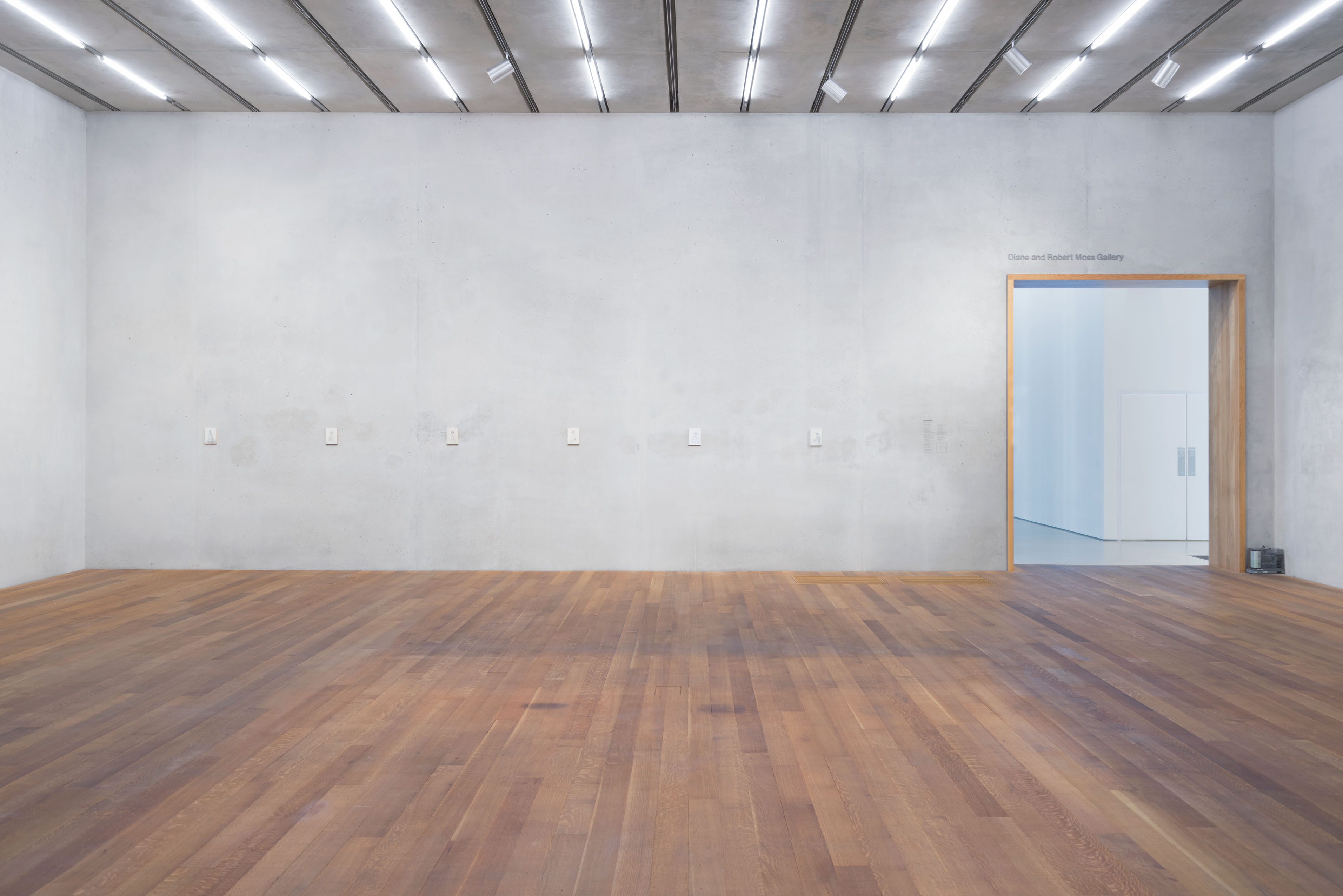 Victoria Gitman: Desiring Eye